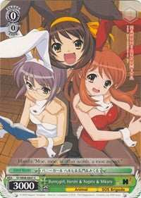 Bunnygirl, Haruhi & Nagato & Mikuru (SY/W08-E041 C) [The Melancholy of Haruhi Suzumiya]