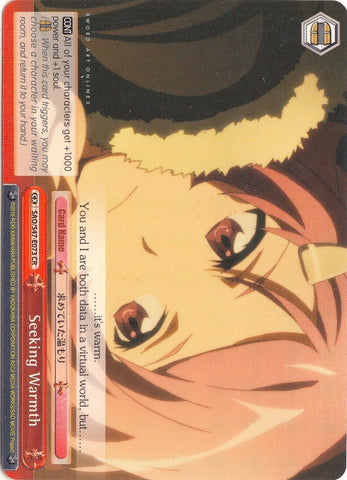 Seeking Warmth (SAO/S47-E073 CR) [Sword Art Online Re: Edit]