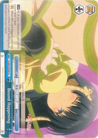 Bound Happening (TL/W37-E100 CR) [To Loveru Darkness 2nd]